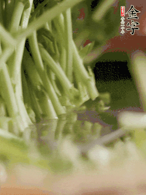 新鮮豌豆苗割下洗凈。